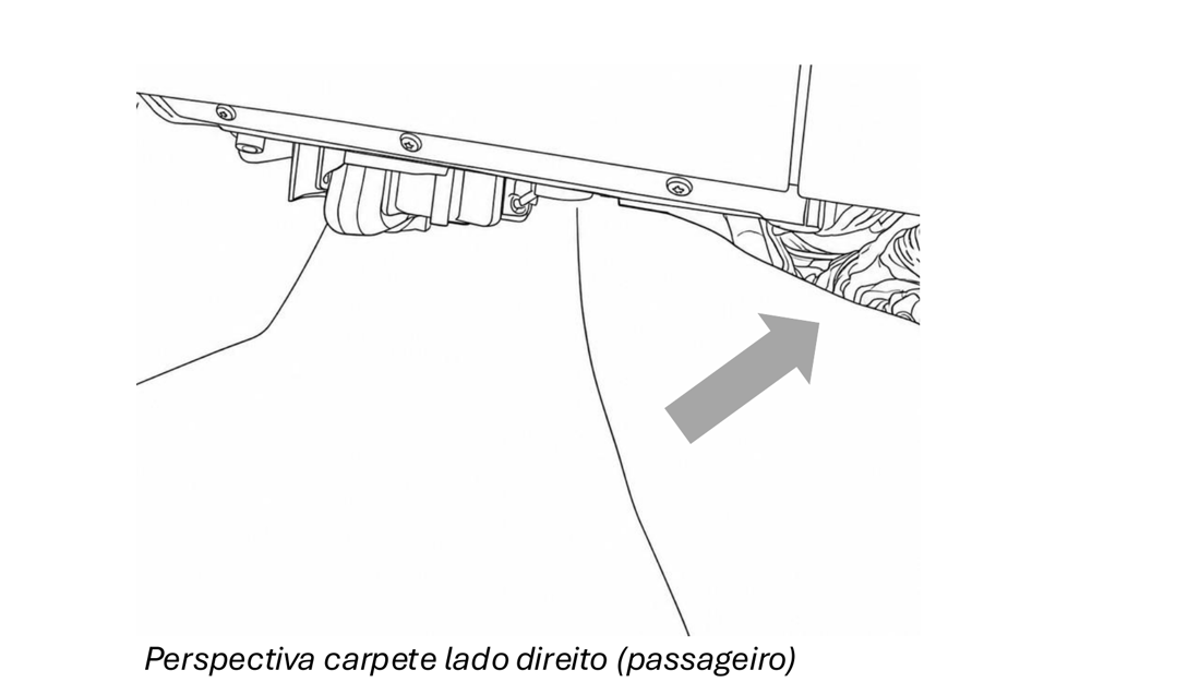 Acomodar o módulo atrás do carpete